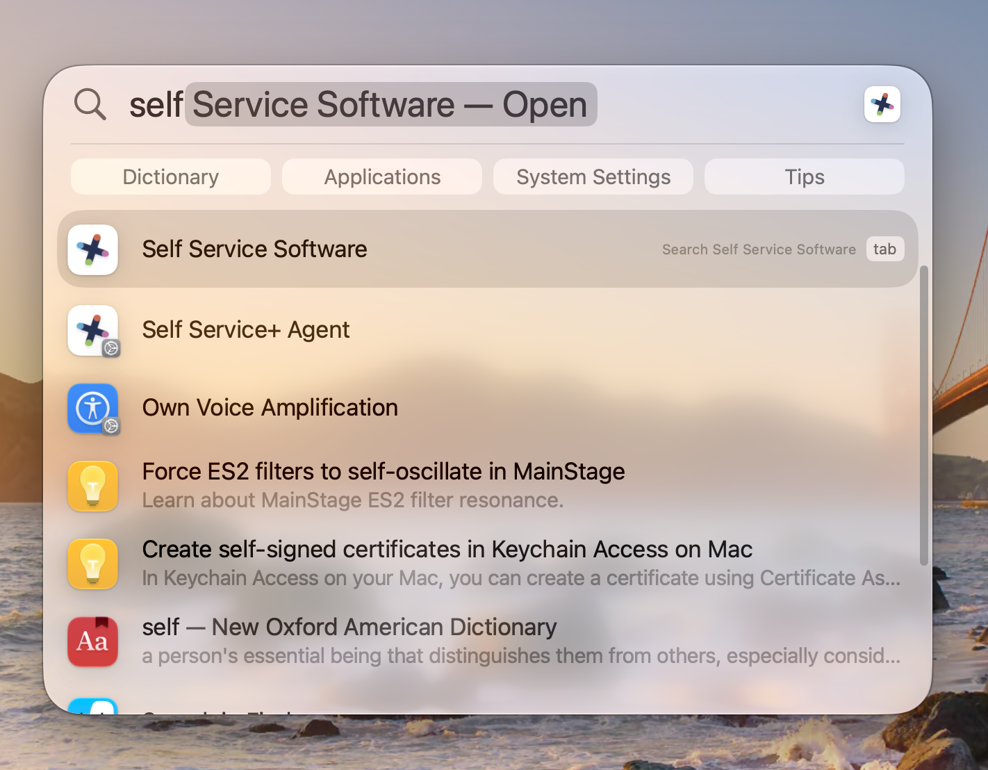 screenshot of macOS spotlight search of words self service